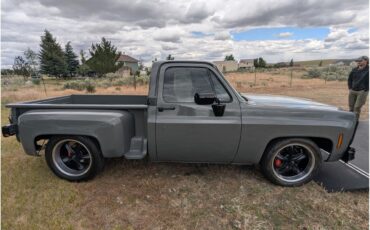 Chevrolet-C10-1980-Gray-Black
