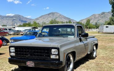 Chevrolet-C10-1980-Gray-Black-8