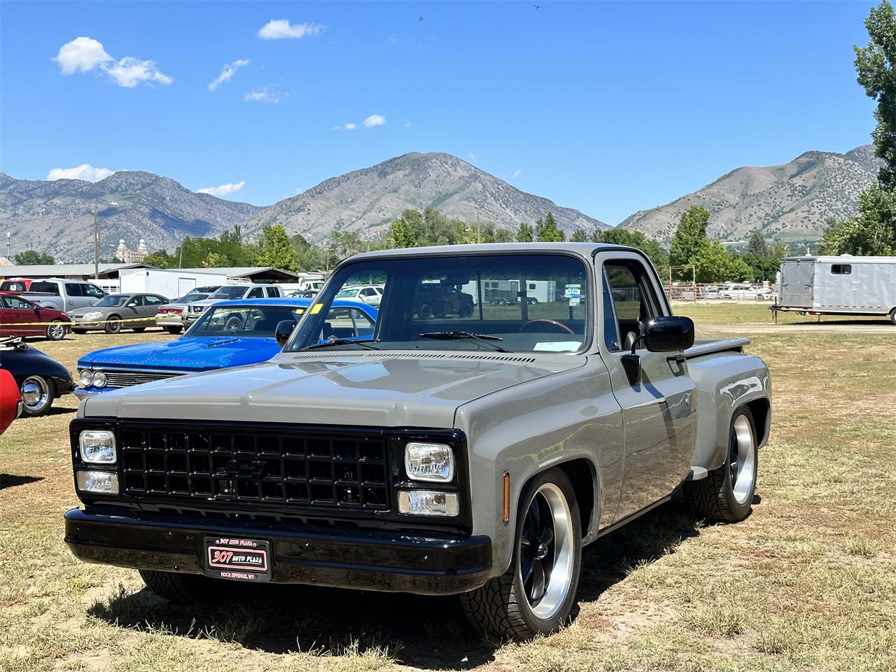 Chevrolet-C10-1980-Gray-Black-8