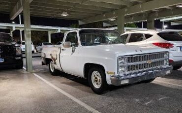 Chevrolet-C10-1981-1