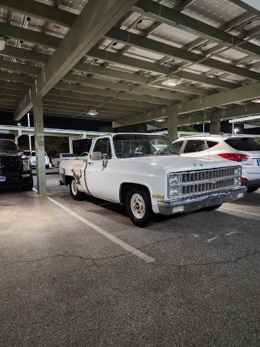 Chevrolet-C10-1981-1