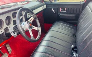 Chevrolet-C10-1981-10
