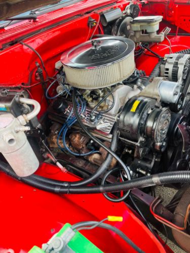 Chevrolet-C10-1981-12