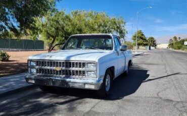 Chevrolet-C10-1981-12
