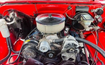 Chevrolet-C10-1981-13
