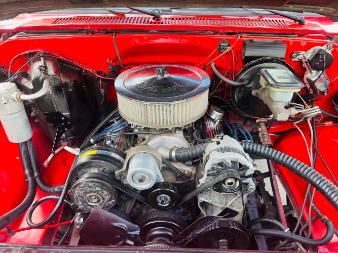 Chevrolet-C10-1981-13