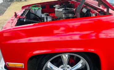 Chevrolet-C10-1981-15