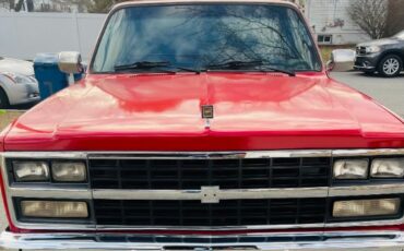 Chevrolet-C10-1981-3