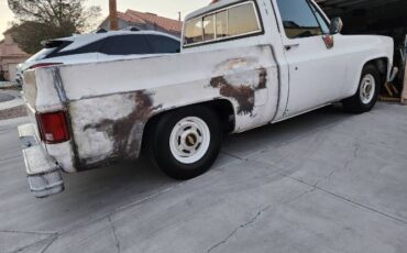 Chevrolet-C10-1981-3