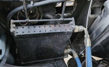 Chevrolet-C10-1981-4