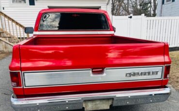 Chevrolet-C10-1981-6