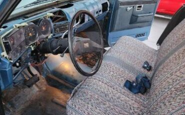 Chevrolet-C10-1981-6