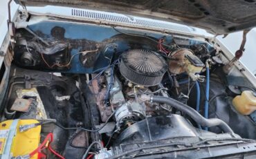 Chevrolet-C10-1981-8