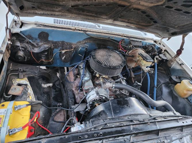 Chevrolet-C10-1981-8