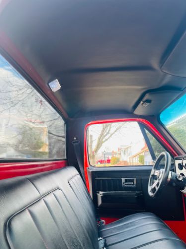 Chevrolet-C10-1981-9