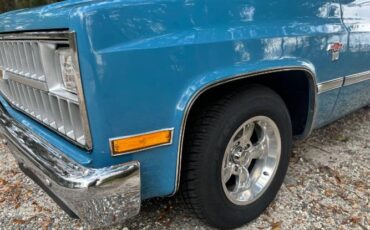 Chevrolet-C10-1981-Blue-16