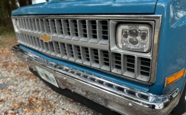 Chevrolet-C10-1981-Blue-2