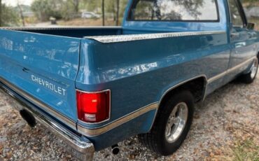 Chevrolet-C10-1981-Blue-20