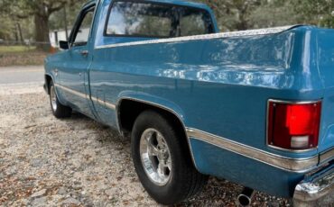 Chevrolet-C10-1981-Blue-21