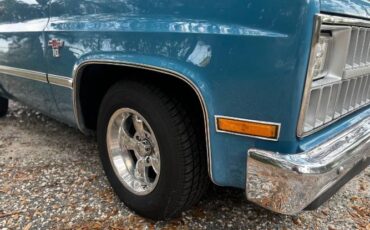 Chevrolet-C10-1981-Blue-23