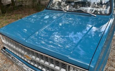 Chevrolet-C10-1981-Blue-3