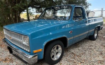 Chevrolet-C10-1981-Blue