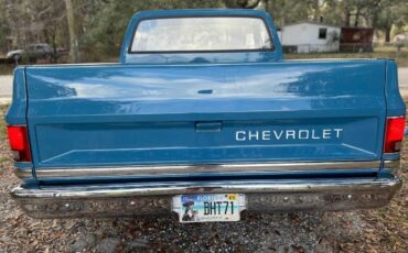 Chevrolet-C10-1981-Blue-9