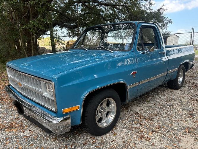 Chevrolet-C10-1981-Blue