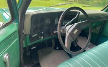 Chevrolet-C10-1981-Green-1