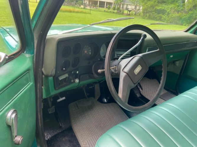 Chevrolet-C10-1981-Green-1