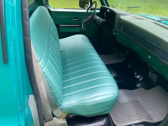 Chevrolet-C10-1981-Green-10