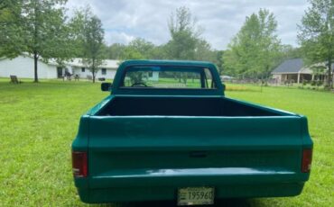 Chevrolet-C10-1981-Green-12