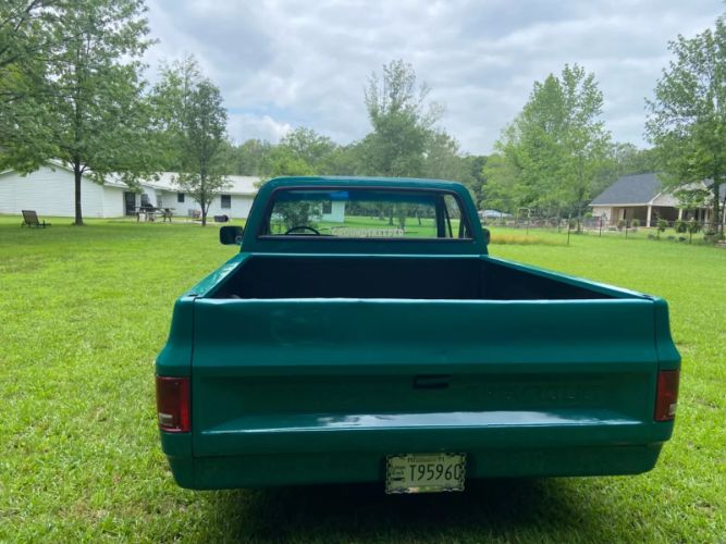 Chevrolet-C10-1981-Green-12