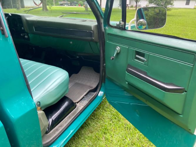 Chevrolet-C10-1981-Green-13