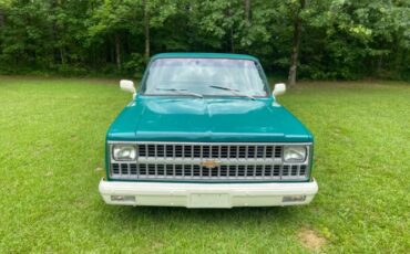 Chevrolet-C10-1981-Green-14