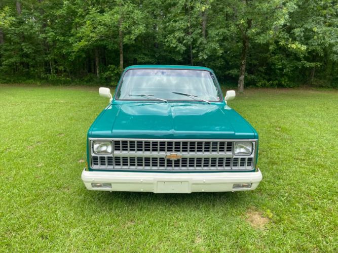 Chevrolet-C10-1981-Green-14