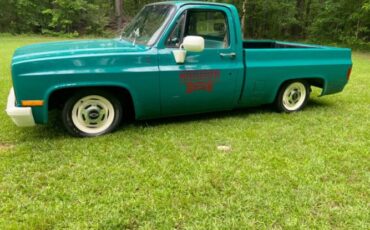 Chevrolet-C10-1981-Green-15