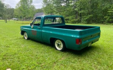 Chevrolet-C10-1981-Green-16
