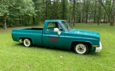Chevrolet-C10-1981-Green-17