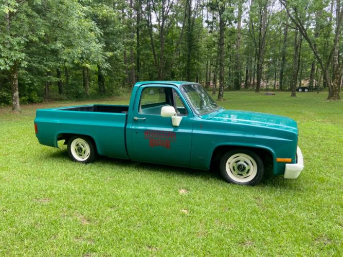 Chevrolet-C10-1981-Green-17