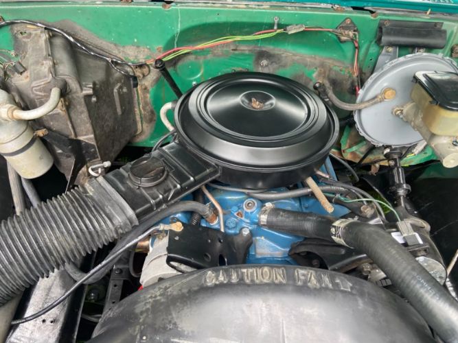 Chevrolet-C10-1981-Green-2