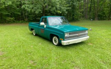 Chevrolet-C10-1981-Green