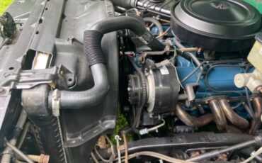 Chevrolet-C10-1981-Green-4