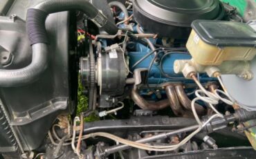 Chevrolet-C10-1981-Green-5