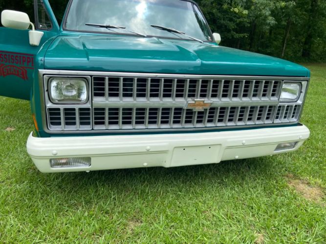 Chevrolet-C10-1981-Green-9