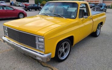 Chevrolet-C10-1982-Yellow-Gray-Cloth-15