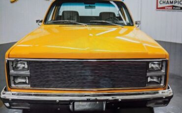 Chevrolet-C10-1982-Yellow-Gray-Cloth-19
