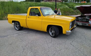 Chevrolet-C10-1982-Yellow-Gray-Cloth-20