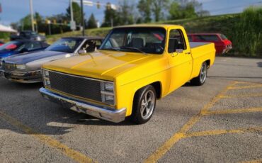 Chevrolet-C10-1982-Yellow-Gray-Cloth-23