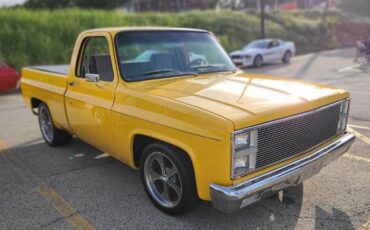 Chevrolet-C10-1982-Yellow-Gray-Cloth-27